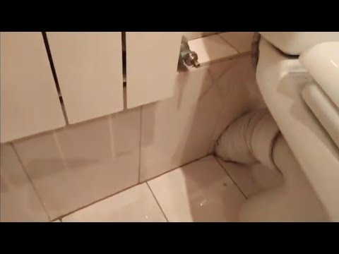 Видео: Как люди искали утечку воды под плиткой самостоятельно?