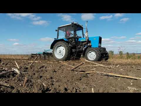 Видео: МТЗ 82.1 дисковка под посев канадской пшеницы