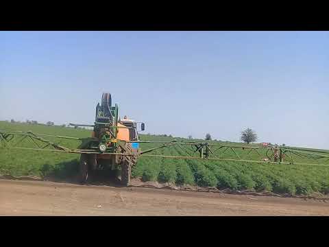 Видео: волгарадда сабзига дори сепиш жараёни