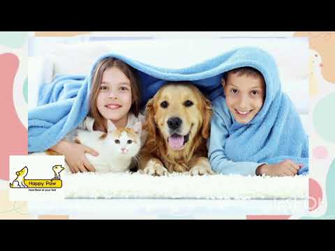 Видео: Щаслива лапа ❤️ Міжнародне заняття Доброти "Про що говорять нам домашні улюбленці".