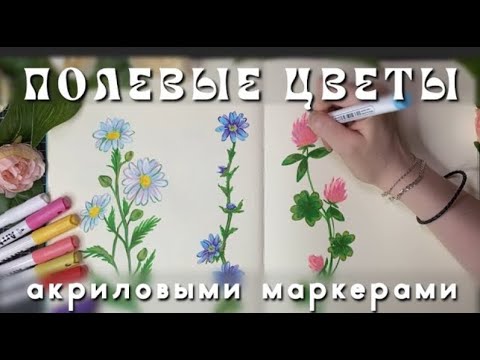 Видео: рисуем вместе полевые цветы: клевер [перезалив]