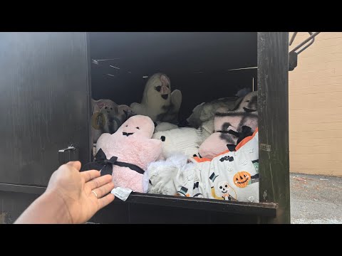 Видео: Я НАШЕЛ МУСОРНЫЙ КОНТЕЙНЕР, ПОЛНЫЙ ПОДУШЕК!!! 10К ПОДПИСЧИКОВ!!!