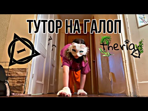 Видео: ТУТОР НА ГАЛОП🍃🌼🍄