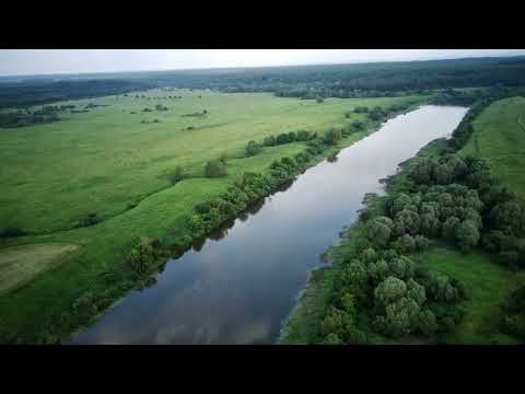 Видео: Деревья Варушицы - село Гремячево (июль 2021г.,очень опасно летать, ястребы)!!!!!