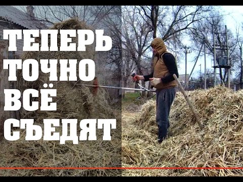 Видео: Сельские будни. Как измельчить тюки сена на корм животным.
