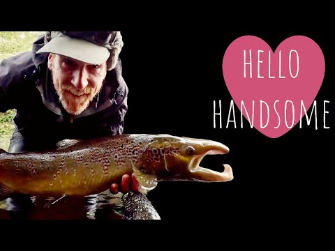 Видео: Ловлю скатов на реке Эден и крокодила на реке Кокет