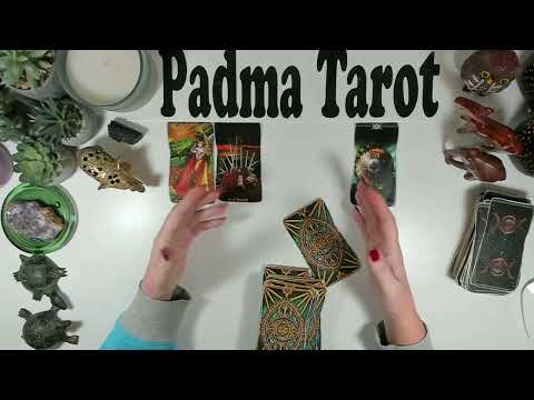 Видео: ЛЕВ ♌️ЭТО НАКОНЕЦ-ТО ПРОИСХОДИТ! Еженедельное гадание на картах Таро с 3 по 9 НОЯБРЯ 🔮💫