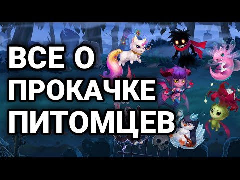 Видео: Хроники Хаоса. ВСЕ О ПРОКАЧКЕ ПИТОМЦЕВ. ОТВЕТЫ НА ВСЕ ВОПРОСЫ.