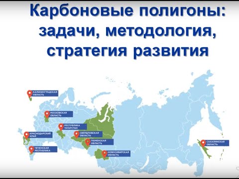 Видео: Методические вопросы по организации карбоновых полигонов в лесах