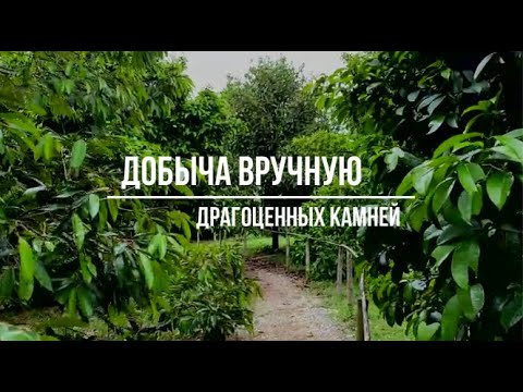 Видео: Ручная добыча драгоценных камней владельцем Sinnergems