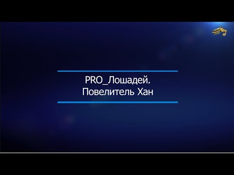 Видео: PRO_Лошадей. Повелитель Хан. 14 февраля 2021 года