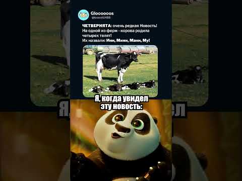 Видео: Какие добрые новости 🥰 #мем #memes