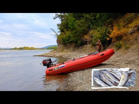 Видео: За хариусом на Кулу. Часть 5: вот ОН, харитон!!!