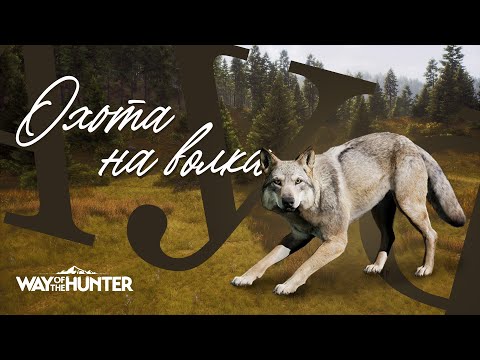 Видео: Way of the Hunter Охота на волка