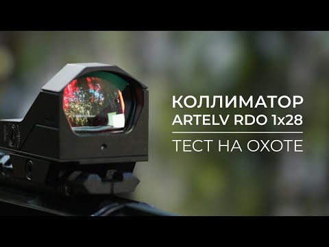 Видео: Коллиматорный прицел RDO 1x28 - тест на охоте