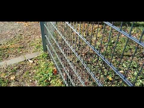 Видео: Вернулись в парк Engen