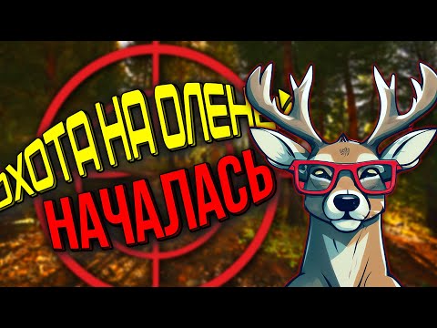 Видео: Тепловизер в Arena breakout.