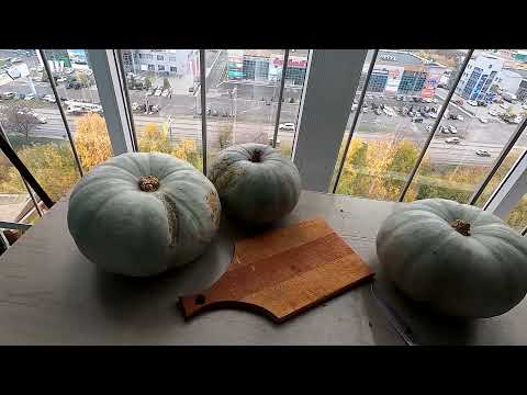 Видео: Как сохранить тыкву в домашних условиях