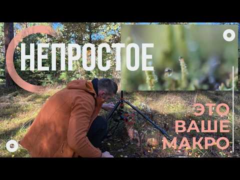 Видео: Врываюсь в макро: лес скрывает невероятные мелочи!