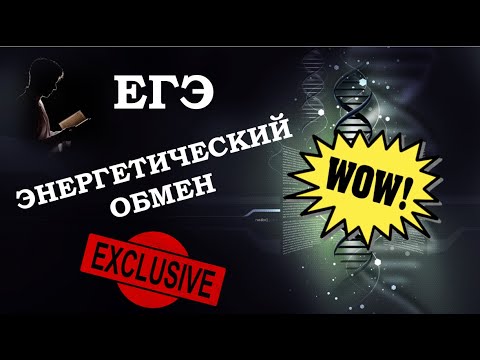 Видео: Энергетический обмен для ЕГЭ по биологии