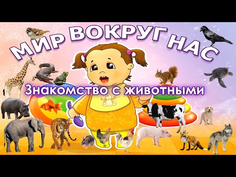 Видео: Мир вокруг нас: Знакомство с животными для детей и малышей