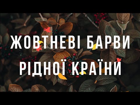 Видео: Жовтневі барви рідної країни 04.10.2024