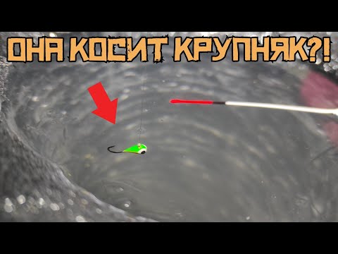 Видео: ЭТА МОРМЫШКА СРАБОТАЛА! Сделал ДВА секрета и НАЛОВИЛ на Затоне! Зимняя рыбалка 2024 - 2025