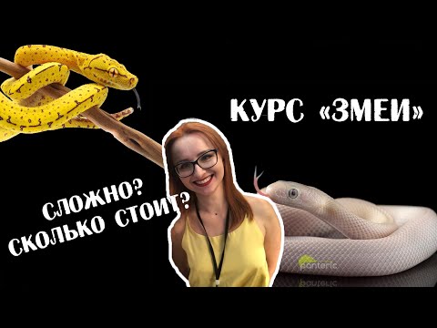 Видео: Курс «Змеи». Всё о змеях. Содержание, кормление, уход, контакт.
