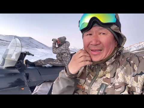 Видео: Наша новое стадо !! КРО КМНС «ТОРМИТА»