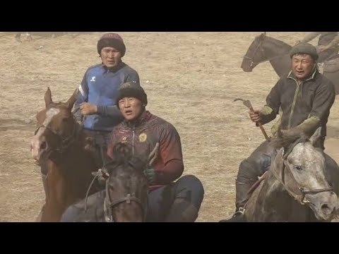 Видео: Кара-марттын аты улакта
