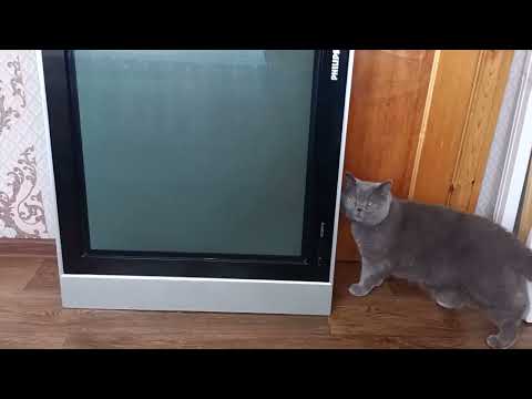 Видео: Обзор плазменного телевизора PHILIPS FlatTV 2006 года.(42 дюйма)