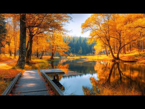 Видео: Нежная мелодия для спокойствия нервной системы и исцеления души 🌿музыка, исцеляющая сердце и чувства