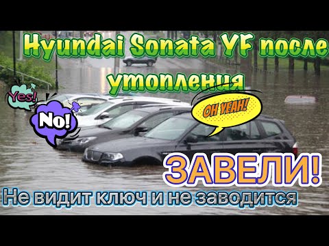 Видео: Hyundai Sonata YF не видит ключ после подтопления