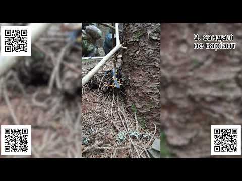 Видео: Правда о перевозчиках и “койотах”: никто не рассказывает это вслух