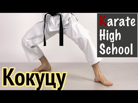 Видео: Кокуцу дачи. Работа бёдер. Применение в поединке | Александр Чичварин