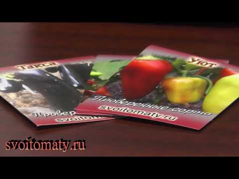 Видео: Почему плохо всходят семена