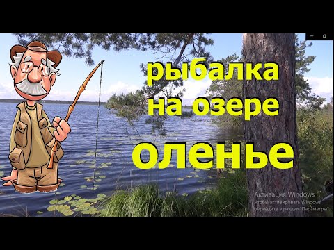 Видео: Рыбалка на озере Оленье #мещёра #рыбалка #уха