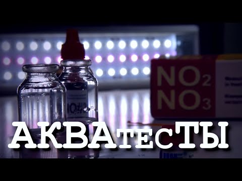 Видео: Аквариумные тесты интервью руководителя UHE Игоря Лакина