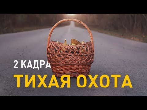 Видео: Тихая охота. 2 кадра 14.11.2019