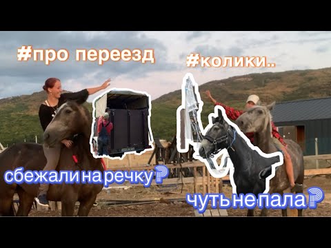 Видео: Про КОЛИКИ Рей | ПЕРЕЕЗД | Влог с конюшни 