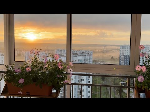 Видео: Дом, где дышится легко🪴Видео для души