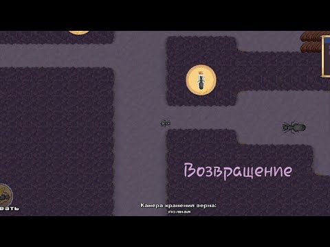 Видео: Pocket Ants Возвращение 