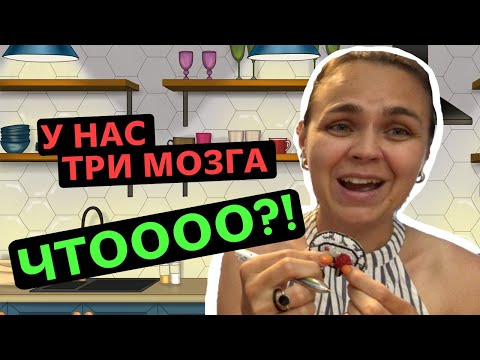 Видео: Теория триединого мозга | Что происходит в нашем мозге?
