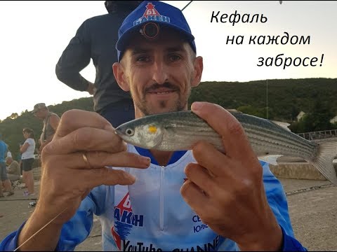 Видео: Ловля кефали в черном море спиннингом с берега. сентябрь 2019г