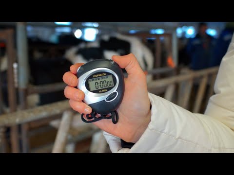 Видео: Ускорьте перевеску с М-комплекс