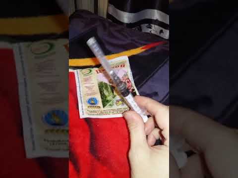 Видео: Циркон туралы