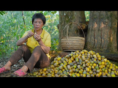 Видео: Собирайте дикие мармелады, чтобы приготовить кисло-сладкие закуски из мармеладных тортов и напитков!