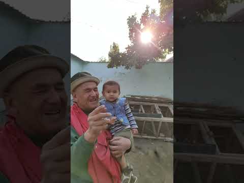 Видео: Бехини качон ва кандай узилади?