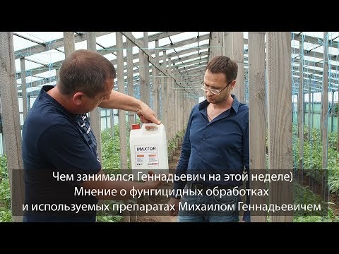 Видео: чем занимался Геннадьевич на этой неделе))