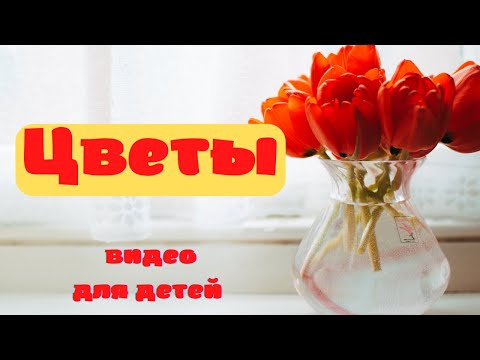 Видео: ЦВЕТЫ. 🌺Названия цветов. - Полевые цветы. Садовые цветы. Комнатные цветы. - Как появляются цветы🌱